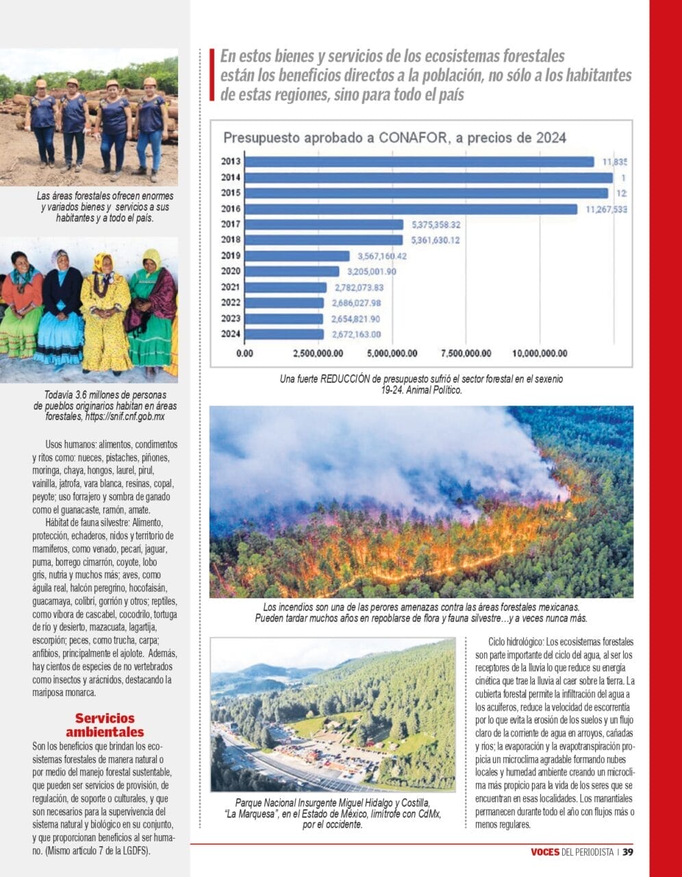 voces del periodista