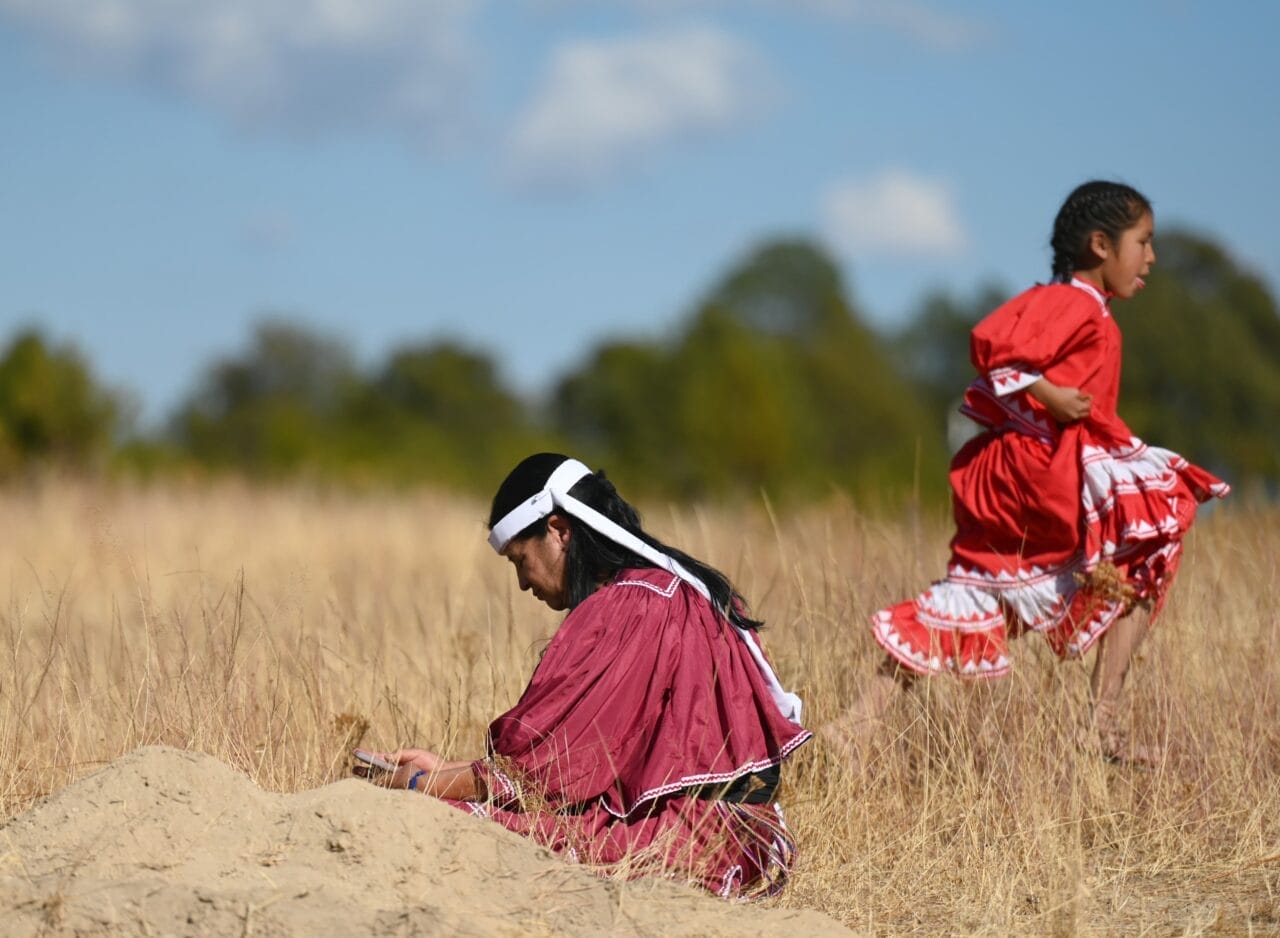 indigena