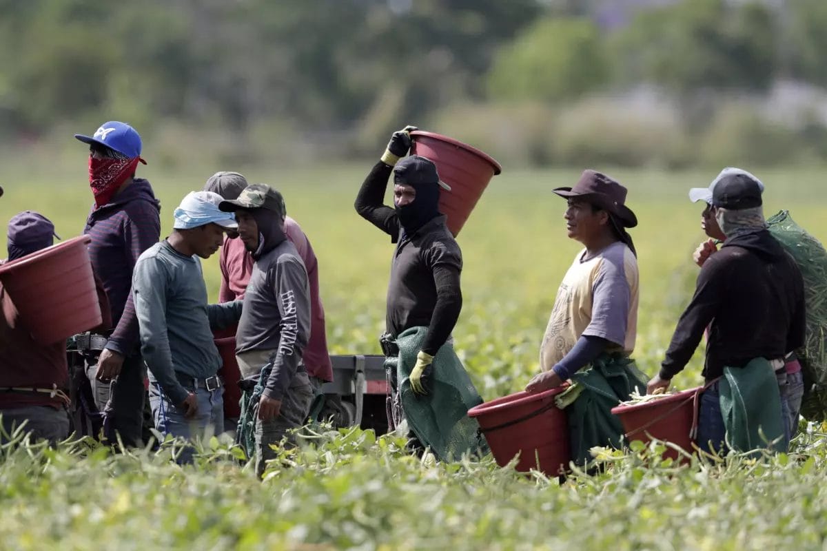Trump,deportaciones,migrantes,frontera sur,,políticas neoliberales,migración