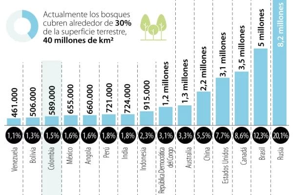 forestal