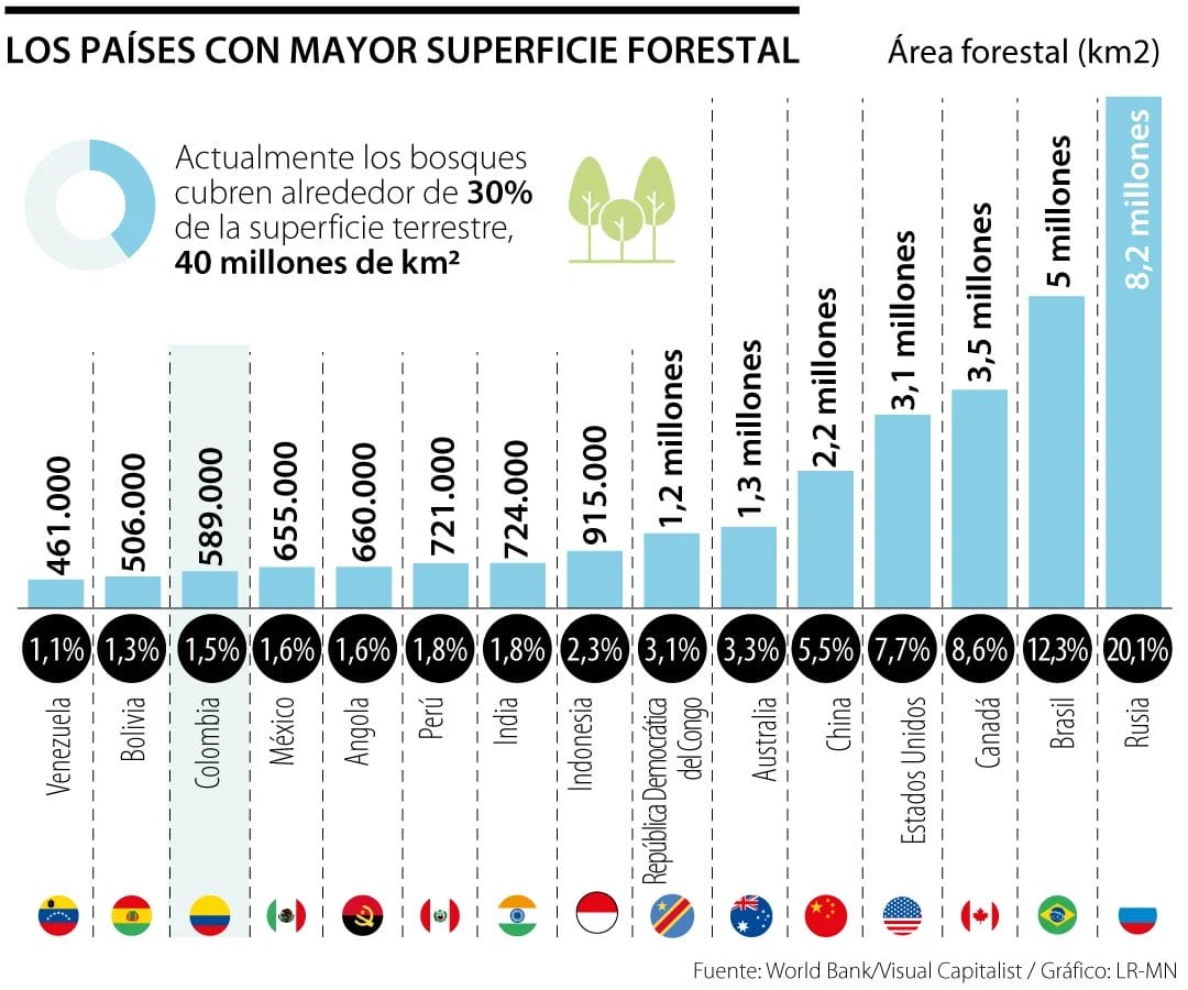 forestal