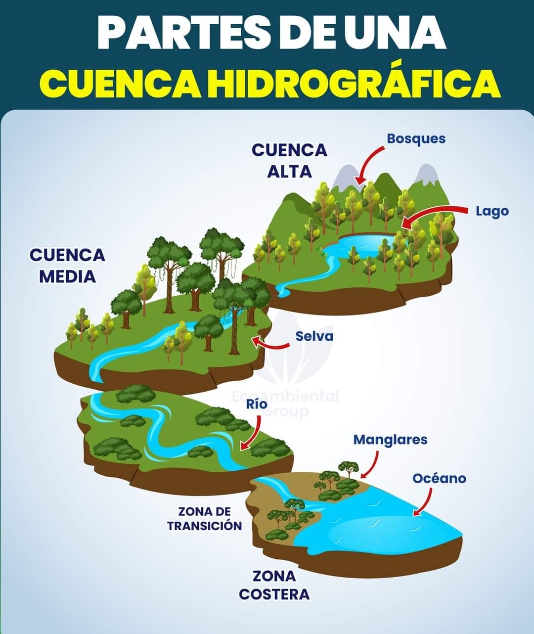 forestal