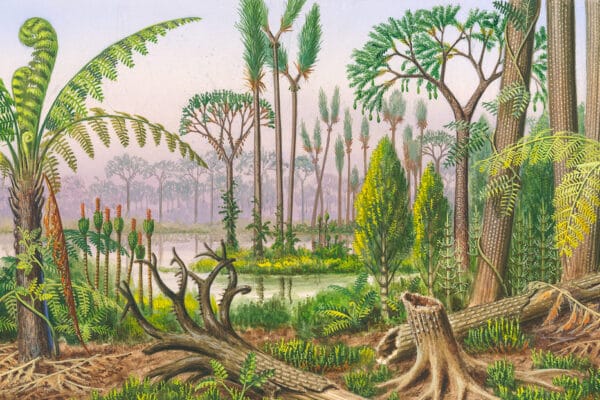 bosque fosilizado