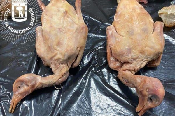 Clausuran un restaurante chino que ofrecía otra cosa por pato restaurante