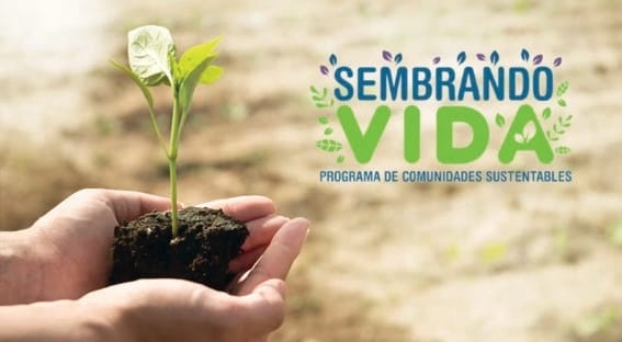 forestal