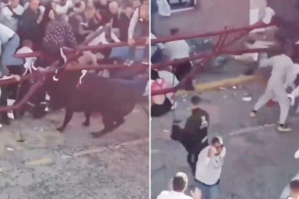 toro enviste personas en españa