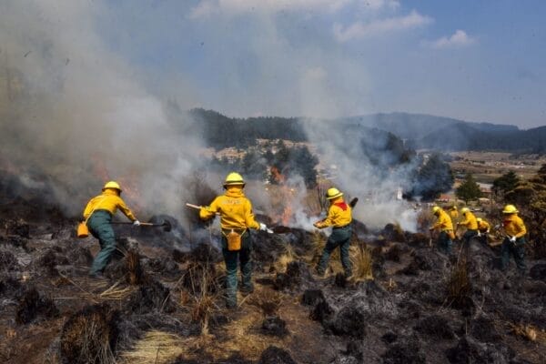 INCENDIOS FORESTALES INSTRUMENTOS PARA EL CAMBIO DE USO DEL SUELO