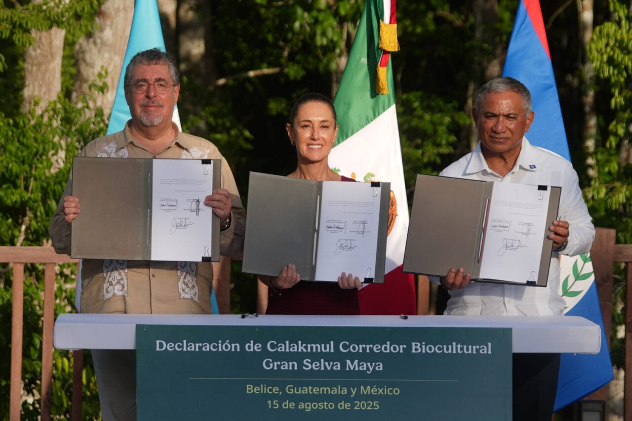 CORREDOR BICULTURAL DE LA SELVA MAYA,declaración de Kalakmul,TREN MAYA SERÁ TRANSFRONTERIZO
