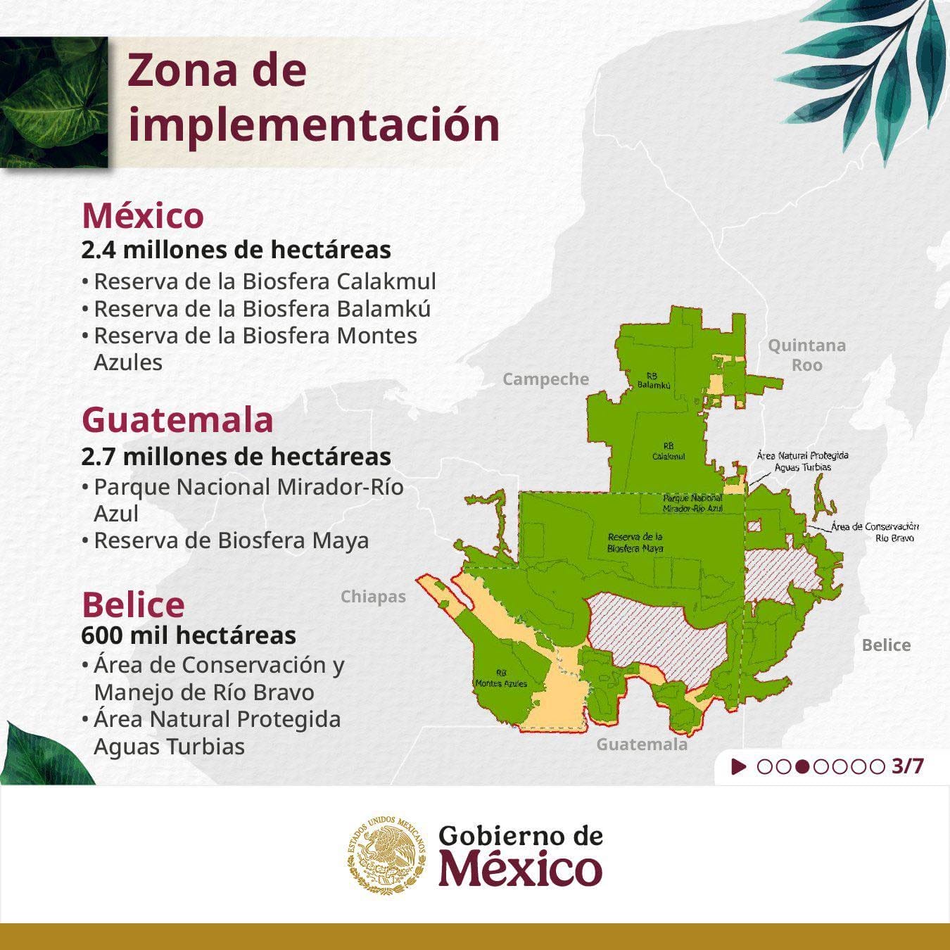 CORREDOR BICULTURAL DE LA SELVA MAYA,declaración de Kalakmul,TREN MAYA SERÁ TRANSFRONTERIZO